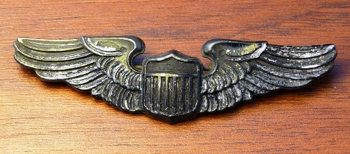 Pilot wings