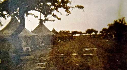 Tent area