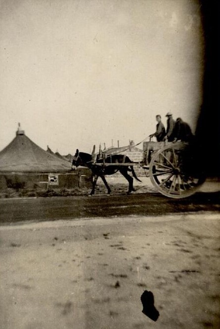 16C